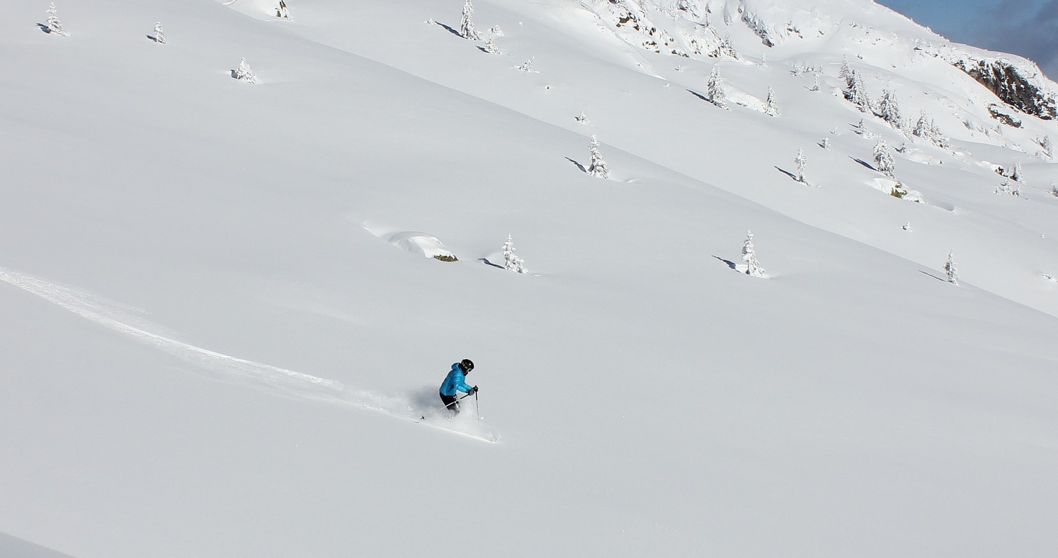 chamonix,stage freeride,ski,mont blanc,guide haute montagne,flegere,grands montets,brevent,off tracks,mountain guide,ski touring,avalanche awarness