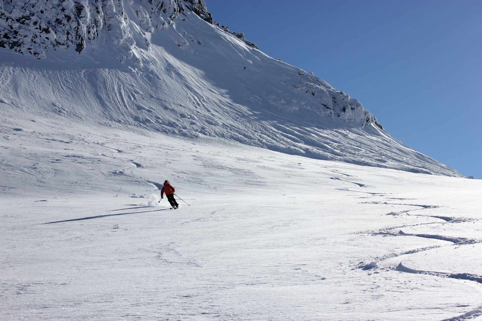 ski,randonnée,chamonix,col,entrèves,freeride,tour ronde,guide,haute,montagne,skitouring,mountainguide,mont blanc,off piste