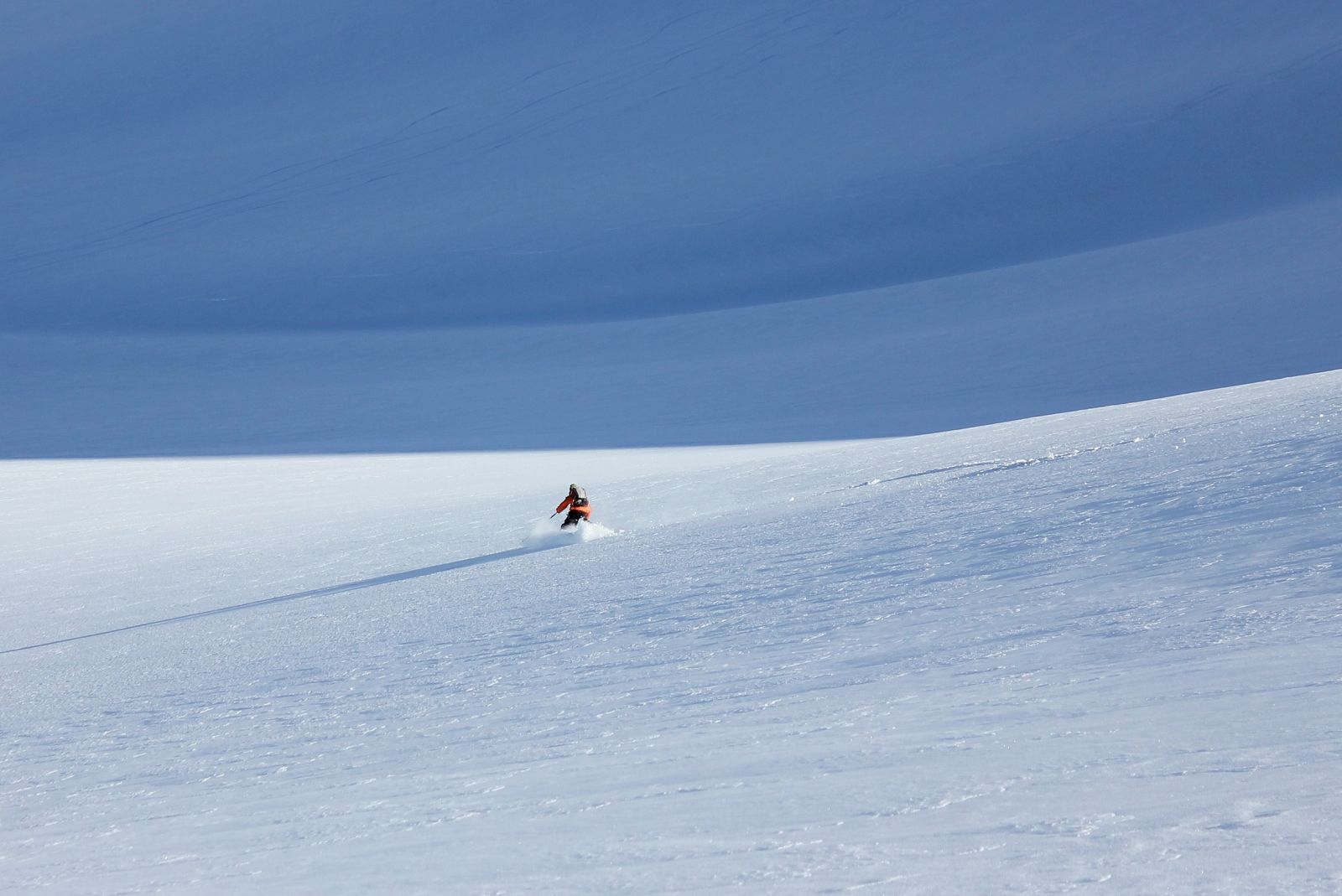 ski,randonnée,chamonix,col,entrèves,freeride,tour ronde,guide,haute,montagne,skitouring,mountainguide,mont blanc,off piste