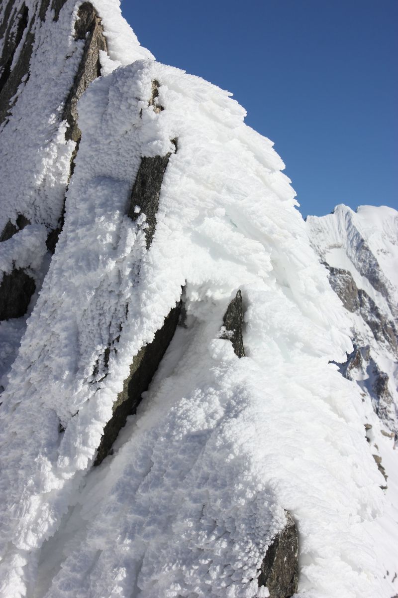 ski,randonnée,chamonix,col,entrèves,freeride,tour ronde,guide,haute,montagne,skitouring,mountainguide,mont blanc,off piste