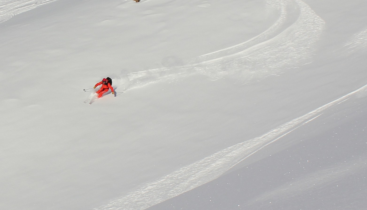 ski,freeride,gressonney,alagna,mont,rose,mountain,guide,off,psite,hors,piste,guide,haute,montagne,paradiski,saint,jacques