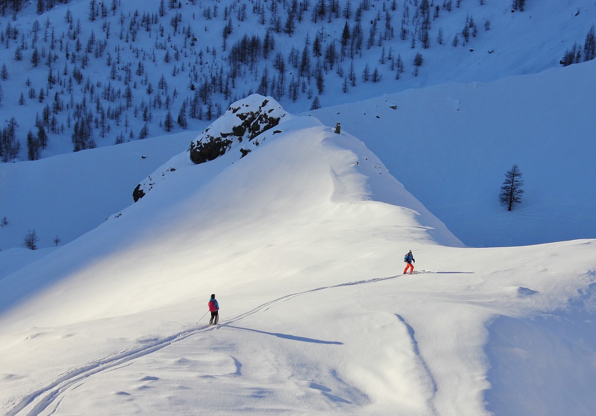 ski,freeride,gressonney,alagna,mont,rose,mountain,guide,off,psite,hors,piste,guide,haute,montagne,paradiski,saint,jacques